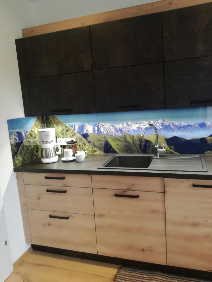 Appartement Ferienwohnung Bergahorn Groebming غوربمينغ المظهر الخارجي الصورة